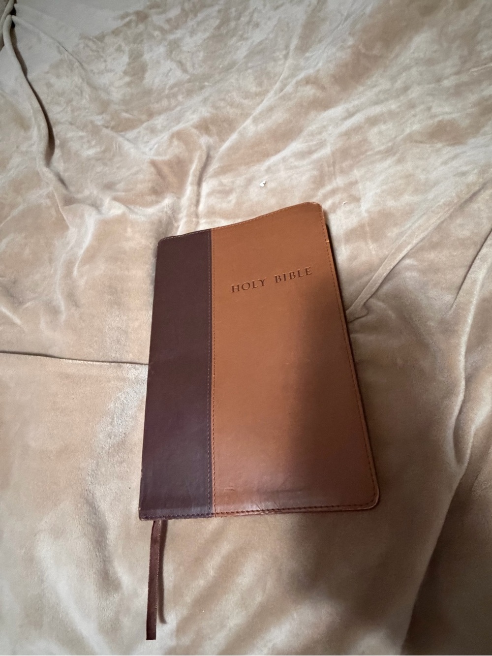 Classic Two-Tone Brown Leather Bible NIV Large Print Slimline Edition